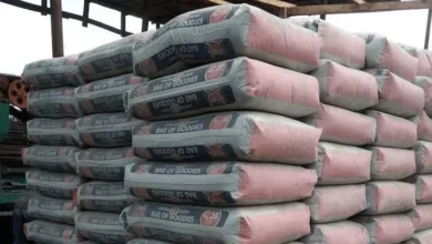 The Price Of Bag Of Dangote, BUA, Other Cement This Week 8 Dangote Cement