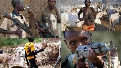 DSS Warns Of Another Possible Fulani T3rrorists Attack in Yoruba Land, Writes Police, Governors 6 FB IMG 1770821971843