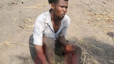 Cattle Rustling: Suspects Arrested After Deadly Attack on Fulani Herdsmen and Killing of Cattle in Benue 6 FB IMG 1771263458093