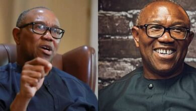 "He Has No Criminal Record”- Obidient Movement Fires Back At Alleged Plot To Arrest Peter Obi 12 FB IMG 1771837830686 1
