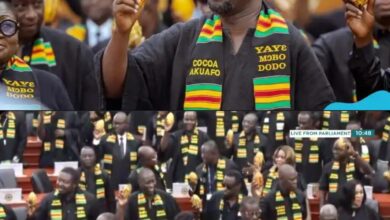 Drama: How NPP MPs St€al Mahama 'State of the Nation' Address With Unique Cocoa Protest, Yayɛ Mɔbɔ Dodo 13 FB IMG 1772225354929