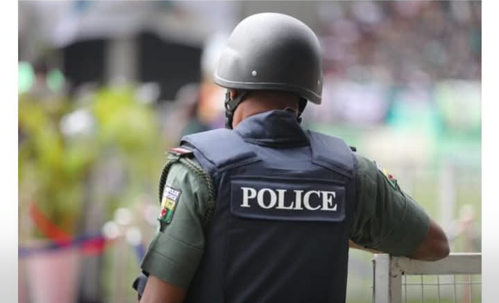 A 20-year-old man, Aliyu Nuhu, sustained a head injury after vigilante members allegedly hammered a five-inch nail into his skull over claims that he stole a chicken in Zaria, Kaduna State. 1 Screenshot 20260211 161608