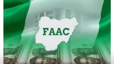 New data from the Federation Accounts Allocation Committee (FAAC), shows that Nigerian states paid N455.38 billion in foreign debt service in 2025, up from N362.08 billion in 2024. 6 Screenshot 20260211 232935