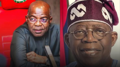 People attacking Pres. Tinubu’s new tax policy lack understanding - Gov. Otti 10 Screenshot 20260212 224143