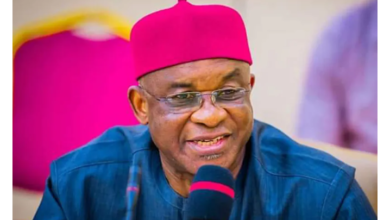 Election 2027: ADC new bride, says David Mark 7 Screenshot 20260213 001157