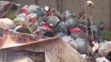 Akwa Okuko’s Shrine At Oba Being Destroyed After Court Judgment 8 Screenshot 20260227 163829