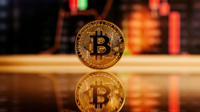 Bitfarms Stock Fails to Excite Amid Dim Industry News 9 bearish stock market trends 34