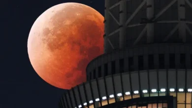 bloodmoon