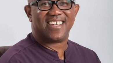 Government Accuses Peter Obi Of Being Responsible For Electricity Blackout 8 FB IMG 1772558534390