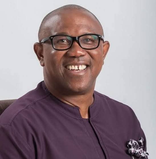 Government Accuses Peter Obi Of Being Responsible For Electricity Blackout 1 FB IMG 1772558534390