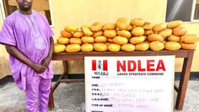 EX LAGOS COUNCIL CHIEF ARRESTED AS NDLEA RECOVERS ILLICIT DRUGS IN BABY DIAPERS; SEVERAL OTHER ARRESTS NATIONWIDE 8 FB IMG 1772980391230