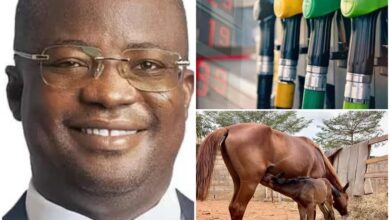 I’m looking at buying a horse to use as transportation as fuel prices rise in Ghana – UG Lecturer, Dr. Zaato 10 FB IMG 1773757969245
