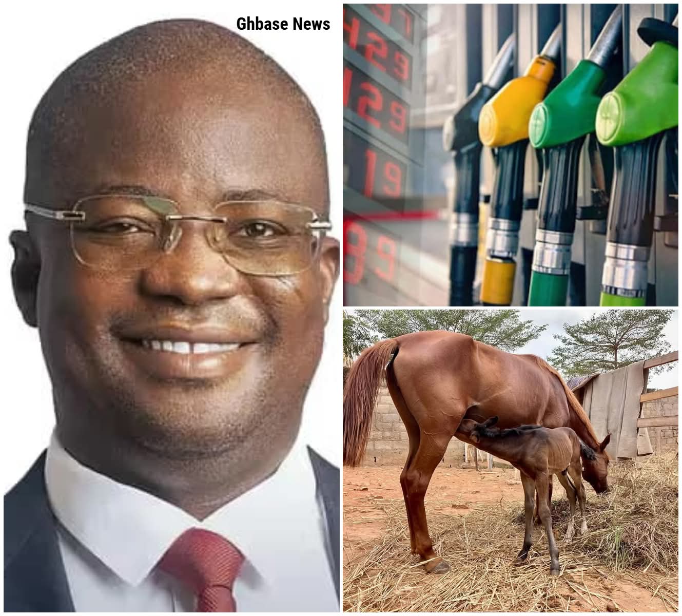 I’m looking at buying a horse to use as transportation as fuel prices rise in Ghana – UG Lecturer, Dr. Zaato 1 FB IMG 1773757969245