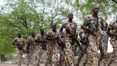 Gunmen Ambush Security Operatives in Kebbi, Kill Several 12 FB IMG 1774453830907