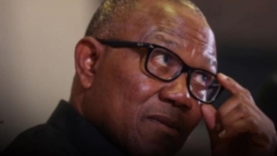 Election 2027: I’m Not Sure Of Getting ADC Presidential Ticket – Peter Obi 13 Screenshot 20260319 190157