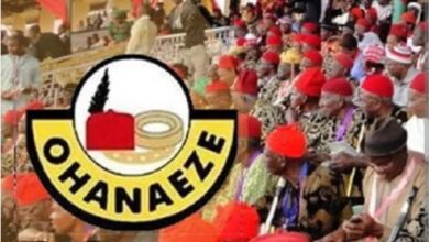 FG, Ohanaeze Jointly Ban ‘Eze Ndigbo’ Title Abroad 7 FB IMG 1775766742458