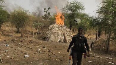 Troops Rescue 21 Kidnap Victims, Destroy Bandits’ Camps in Plateau Forest Operation 12 FB IMG 1775805504590