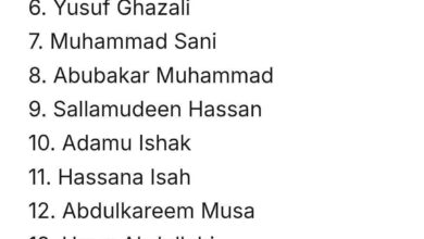 Published list of terrorism financers in Nigeria. 8 FB IMG 1775930326370