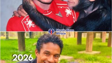 Michael Jackson’s famous pet chimp, Bubbles, is still alive at 43 years old. 7 FB IMG 1777281028908