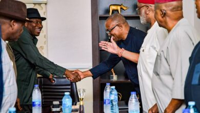 Peter Obi meets with former President Jonathan as he continues consultation over his presidential ambition. 7 FB IMG 1777314578385