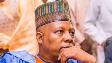 VP Shettima, Zulum Clash Over Ndume’s Political Future 12 FB IMG 1777385158320