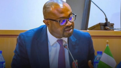 FG enforces stricter rules, revokes passports of Nigerians who renounce citizenship 10 Screenshot 20260411 131752