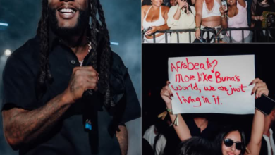 Africa’s biggest musician, Burna Boy, carried over 20,000 fans in Egypt yesterday! 6 Screenshot 20260414 115409