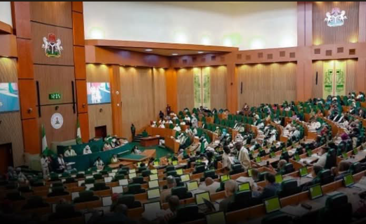 House of Representatives Approve $516.3 Million Loan Request by President Tinubu for Sokoto - Badagry Highway Project 1 Screenshot 20260428 152747
