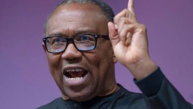 Nobody Can Rebuild The North Like Me — Peter Obi Says, Insisting We Can Make More Money Through Agriculture Than Crude Oil 8 images 39