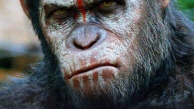 Matt Shakman will direct a new ‘PLANET OF THE APES’ movie from a script written by Josh Friedman. 5 FB IMG 1778174400723