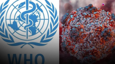 New Virus Outbreak as World Health Organization confirms 8 cases of the de@dly Hantavirus 9 Screenshot 20260507 132628