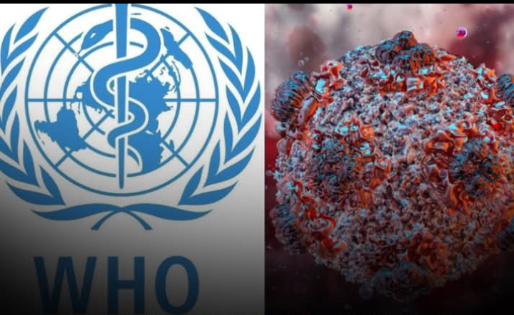 New Virus Outbreak as World Health Organization confirms 8 cases of the de@dly Hantavirus 1 Screenshot 20260507 132628