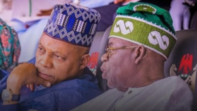 President Tinubu Has Delivered The Renewed Hope Mandate. He has Proved His Mettle — VP Shettima 8 Screenshot 20260507 202837