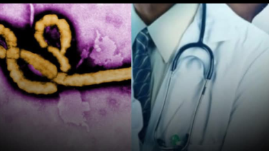 Avoid Eating Bush Meat To Prevent Spread Of Ebola Virus — Doctors Warn Nigerians 12 Screenshot 20260525 135201
