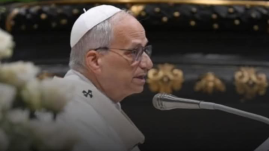 Disarm Artificial Intelligence Before It Controls Humanity — Pope Leo XIV Warns World Leaders 6 Screenshot 20260525 172951