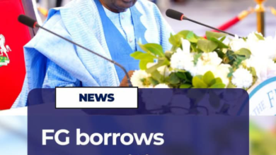 The Federal Government recorded N11.89 trillion in fresh borrowings in the first nine months of 2025, but spent only N3.10 trillion on capital expenditure. 8 Screenshot 20260528 155556