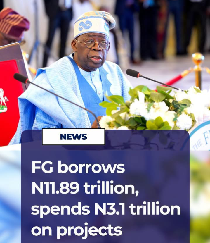 The Federal Government recorded N11.89 trillion in fresh borrowings in the first nine months of 2025, but spent only N3.10 trillion on capital expenditure. 1 Screenshot 20260528 155556