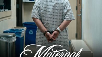 MATERNAL INSTINCT is officially coming to Netflix tomorrow 9 FB IMG 1781198776344