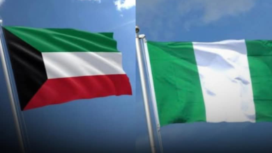 Kuwait Suspends Visas for Nigerians Until Further Notice 12 Screenshot 20260613 183433