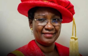 Public Universities Must Start Charging At Least ₦1 million Tuition Per Student — Former LASU VC, Ibiyemi Olatunji-Bello 2 Screenshot 20260922 222712
